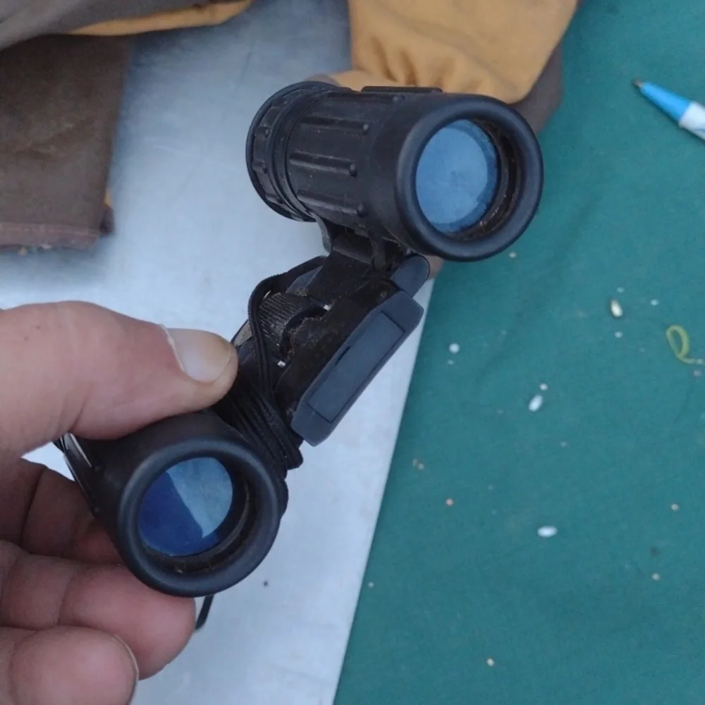 Bushnell Sportview Black Binoculars